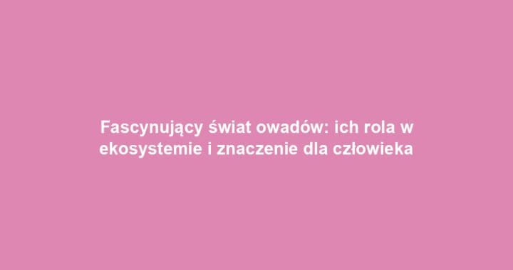 Fascynujący świat owadów: ich rola w ekosystemie i znaczenie dla człowieka
