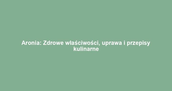 Aronia: Zdrowe właściwości, uprawa i przepisy kulinarne