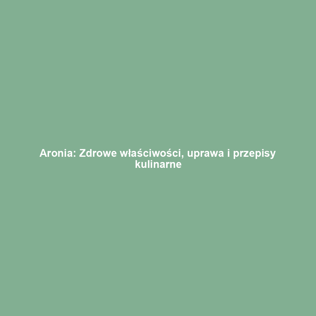 Aronia: Zdrowe właściwości, uprawa i przepisy kulinarne