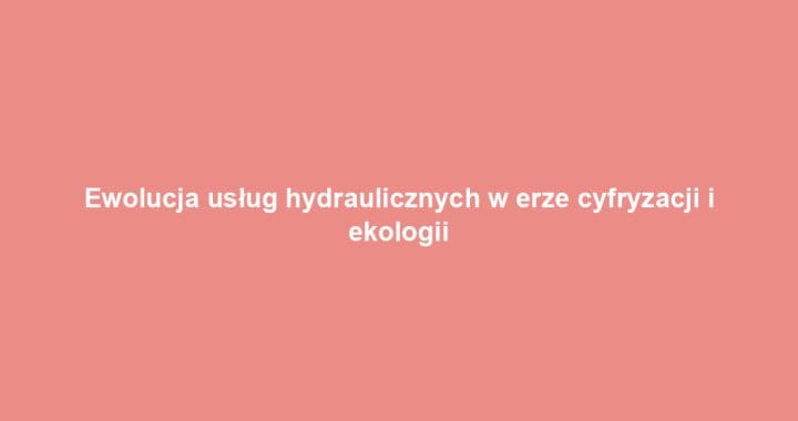 Ewolucja usług hydraulicznych w erze cyfryzacji i ekologii