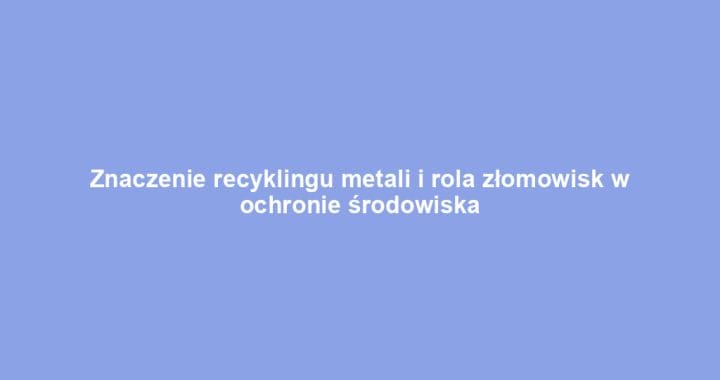 Znaczenie recyklingu metali i rola złomowisk w ochronie środowiska