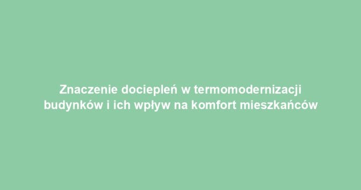 Znaczenie dociepleń w termomodernizacji budynków i ich wpływ na komfort mieszkańców