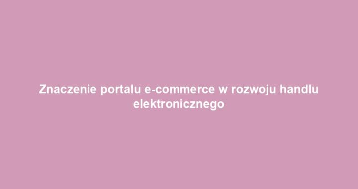 Znaczenie portalu e-commerce w rozwoju handlu elektronicznego