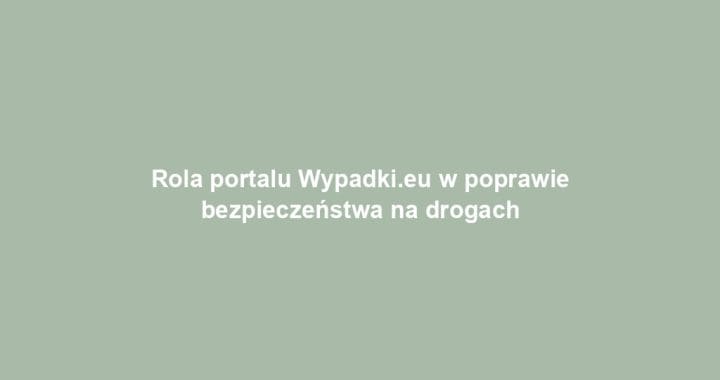 Rola portalu Wypadki.eu w poprawie bezpieczeństwa na drogach