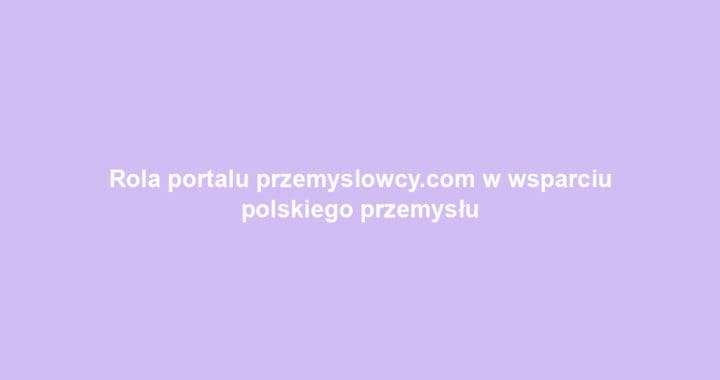 Rola portalu przemyslowcy.com w wsparciu polskiego przemysłu