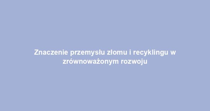 Znaczenie przemysłu złomu i recyklingu w zrównoważonym rozwoju