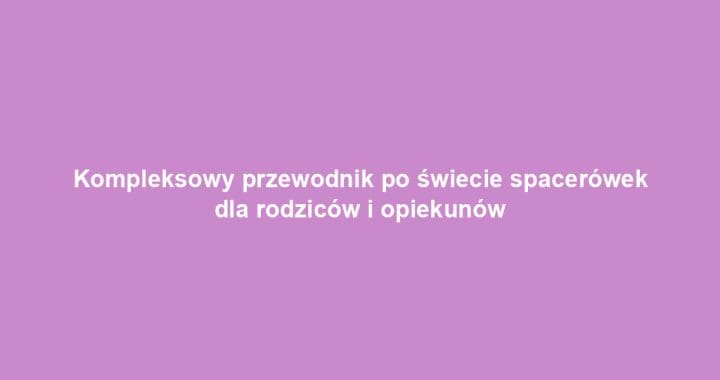 Kompleksowy przewodnik po świecie spacerówek dla rodziców i opiekunów