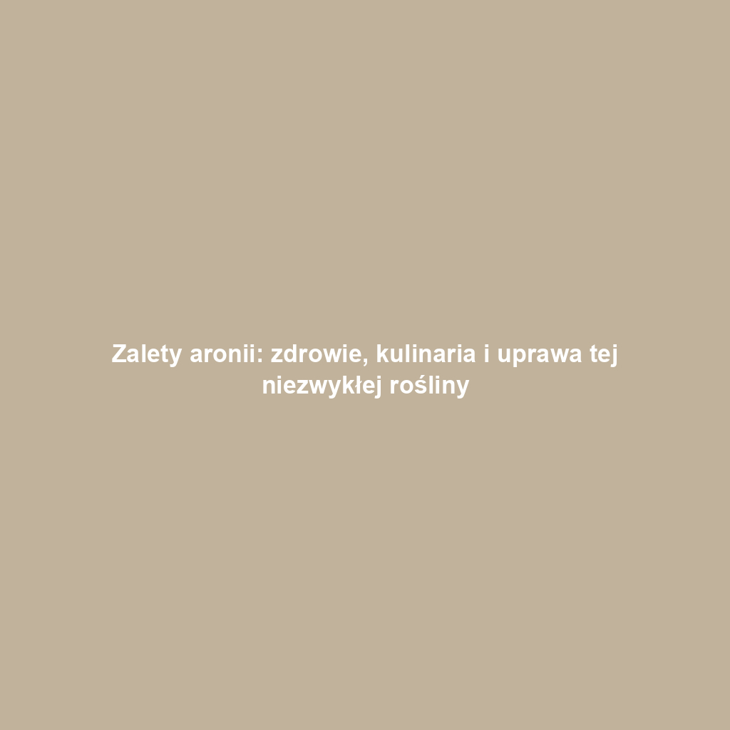 Zalety aronii: zdrowie, kulinaria i uprawa tej niezwykłej rośliny