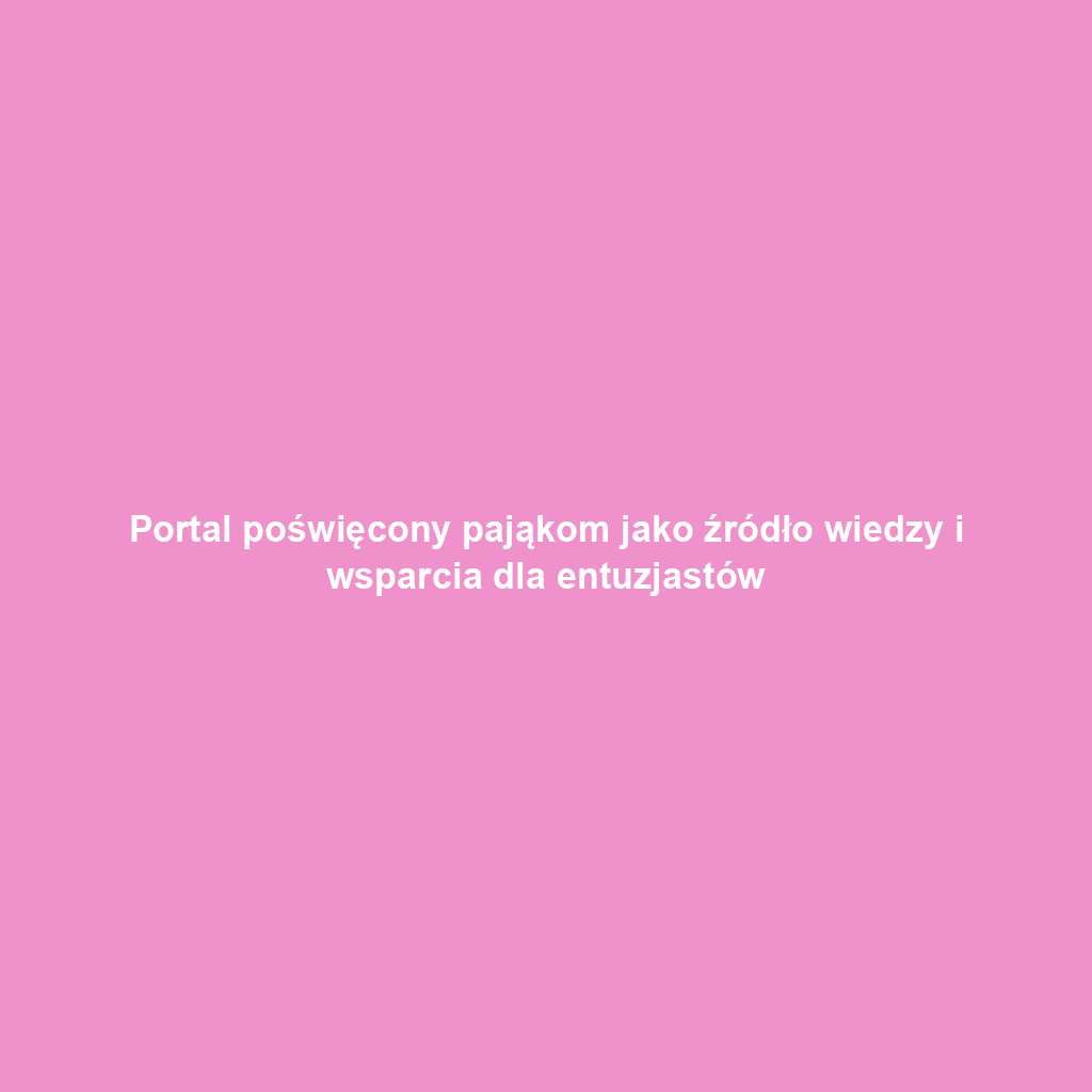Portal poświęcony pająkom jako źródło wiedzy i wsparcia dla entuzjastów