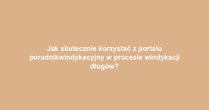 Jak skutecznie korzystać z portalu poradnikwindykacyjny w procesie windykacji długów?