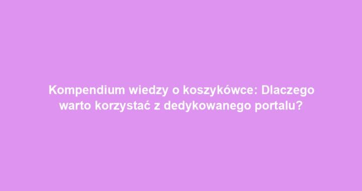 Kompendium wiedzy o koszykówce: Dlaczego warto korzystać z dedykowanego portalu?