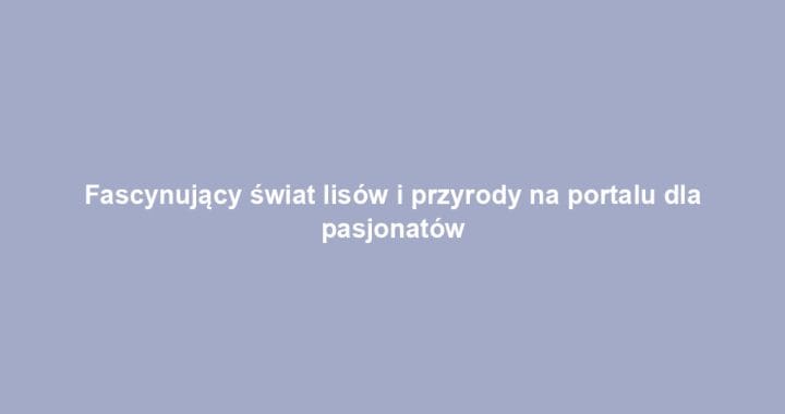 Fascynujący świat lisów i przyrody na portalu dla pasjonatów