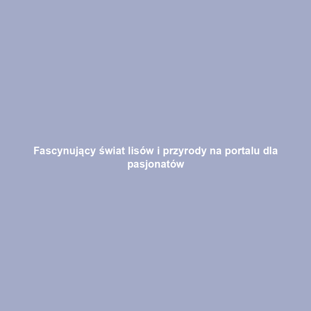 Fascynujący świat lisów i przyrody na portalu dla pasjonatów