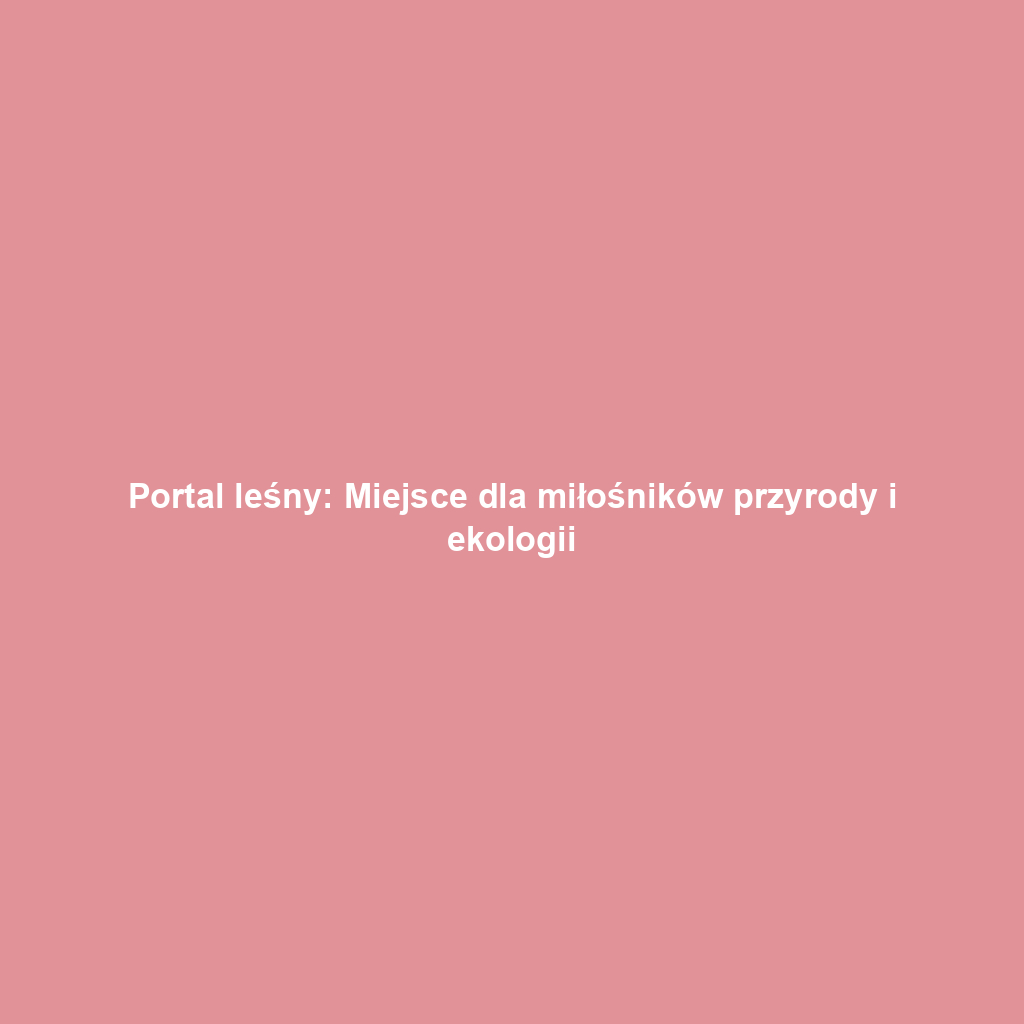 Portal leśny: Miejsce dla miłośników przyrody i ekologii