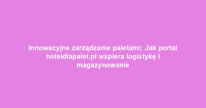 Innowacyjne zarządzanie paletami: Jak portal hoteldlapalet.pl wspiera logistykę i magazynowanie