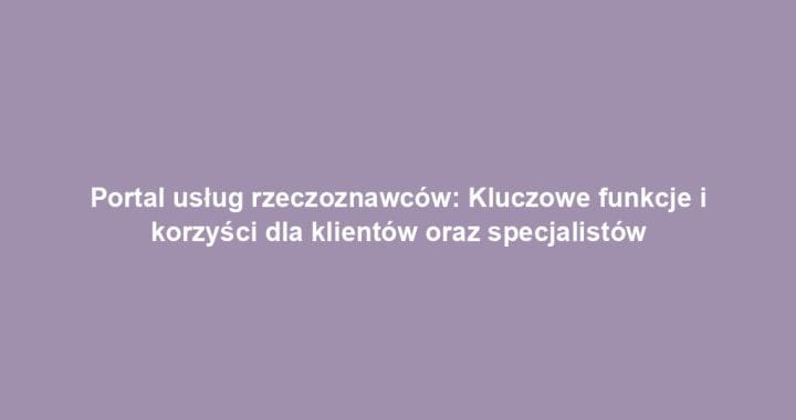 Portal usług rzeczoznawców: Kluczowe funkcje i korzyści dla klientów oraz specjalistów
